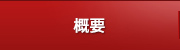 概要