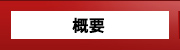 概要
